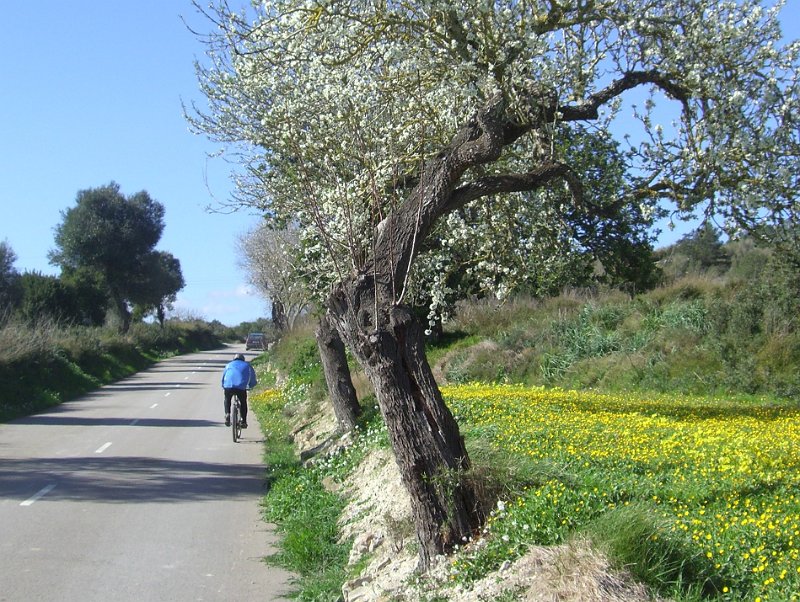 9. Landschaft quer